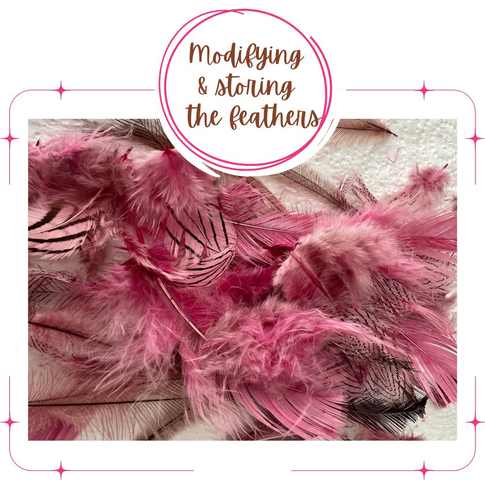 Natural Dyeing on FEATHERS Course