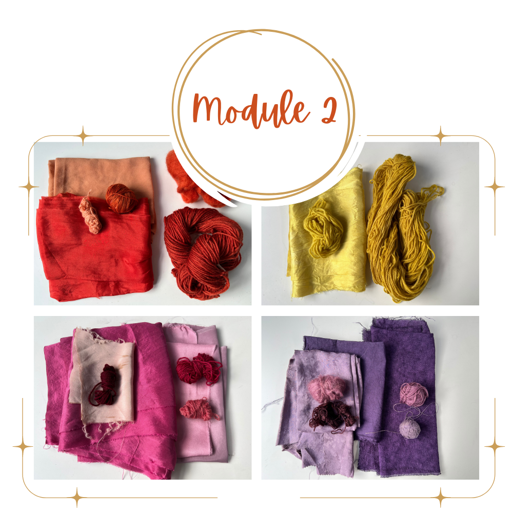 Natural Dyeing ULTIMATE Course