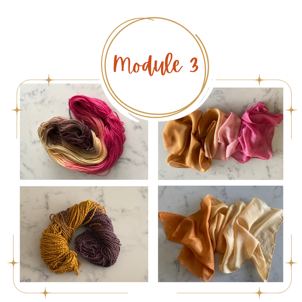 Natural Dyeing ULTIMATE Course