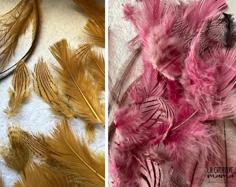 Natural Dyeing on FEATHERS Course