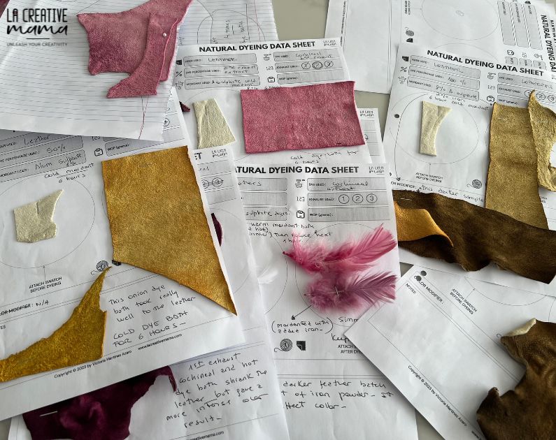 Natural Dyeing on LEATHER Course