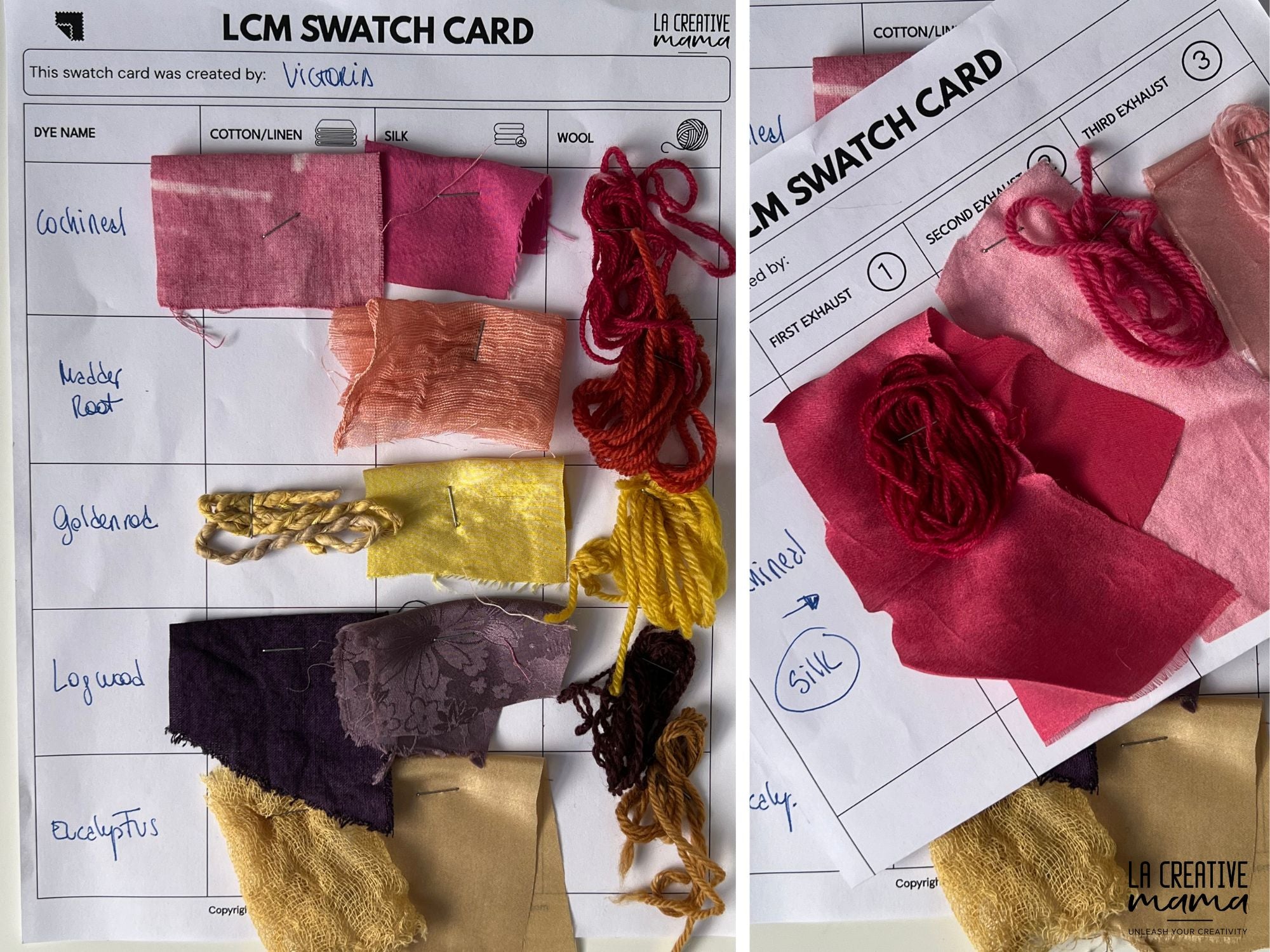 Natural Dyeing ULTIMATE Course