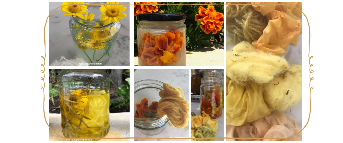 Natural Dyeing Bundle + BONUS MULTICOLOR DYE TUTORIAL