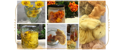 Natural Dyeing CREATIVE Bundle