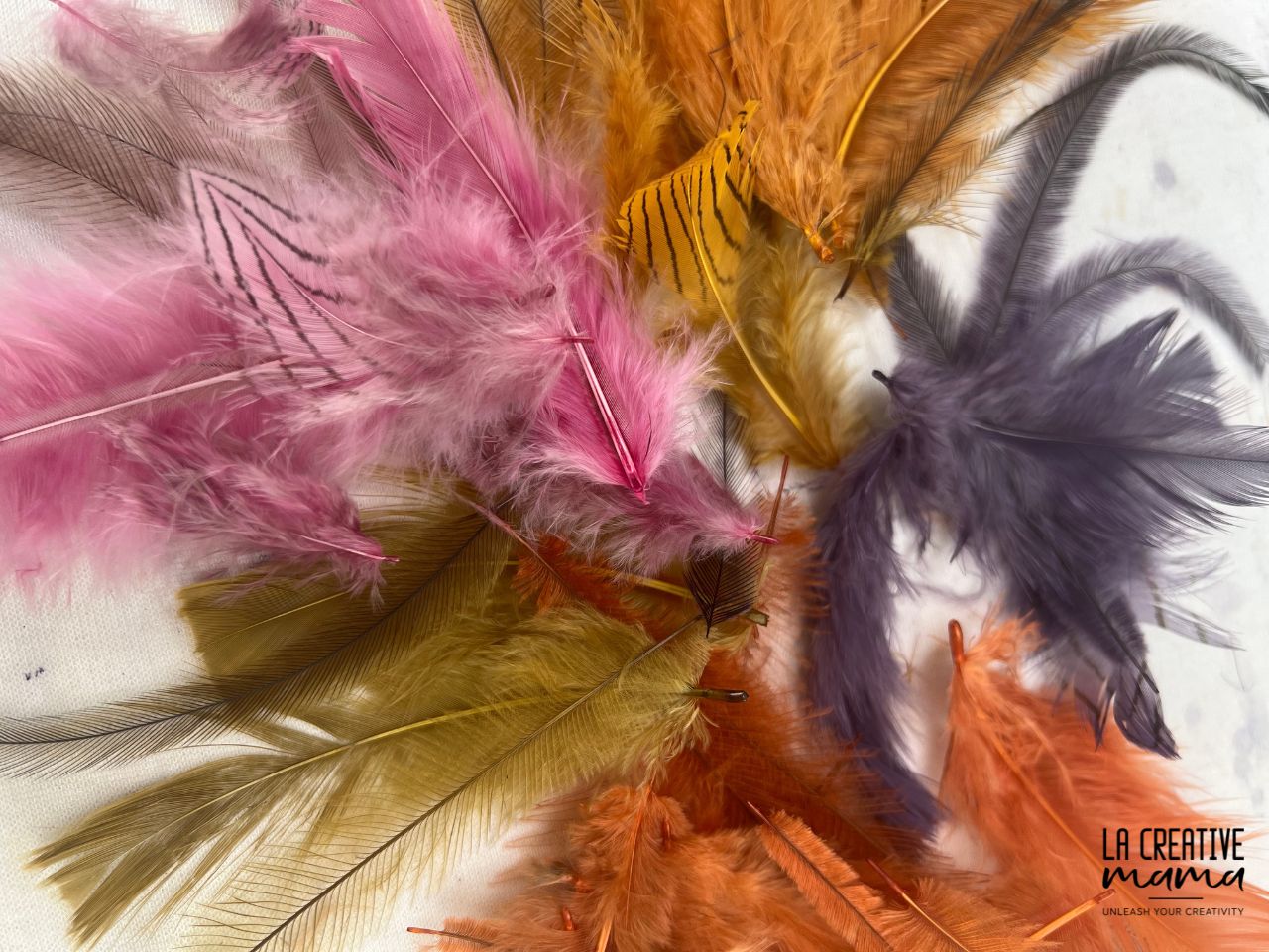 Natural Dyeing on FEATHERS Course