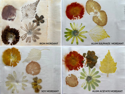 Eco Printing ON PAPER Course