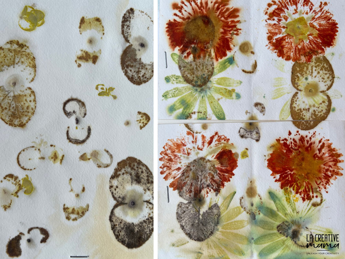 Eco Printing ON PAPER Course