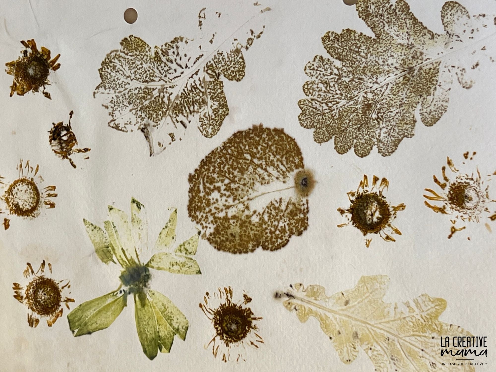 Eco Printing ON PAPER Course