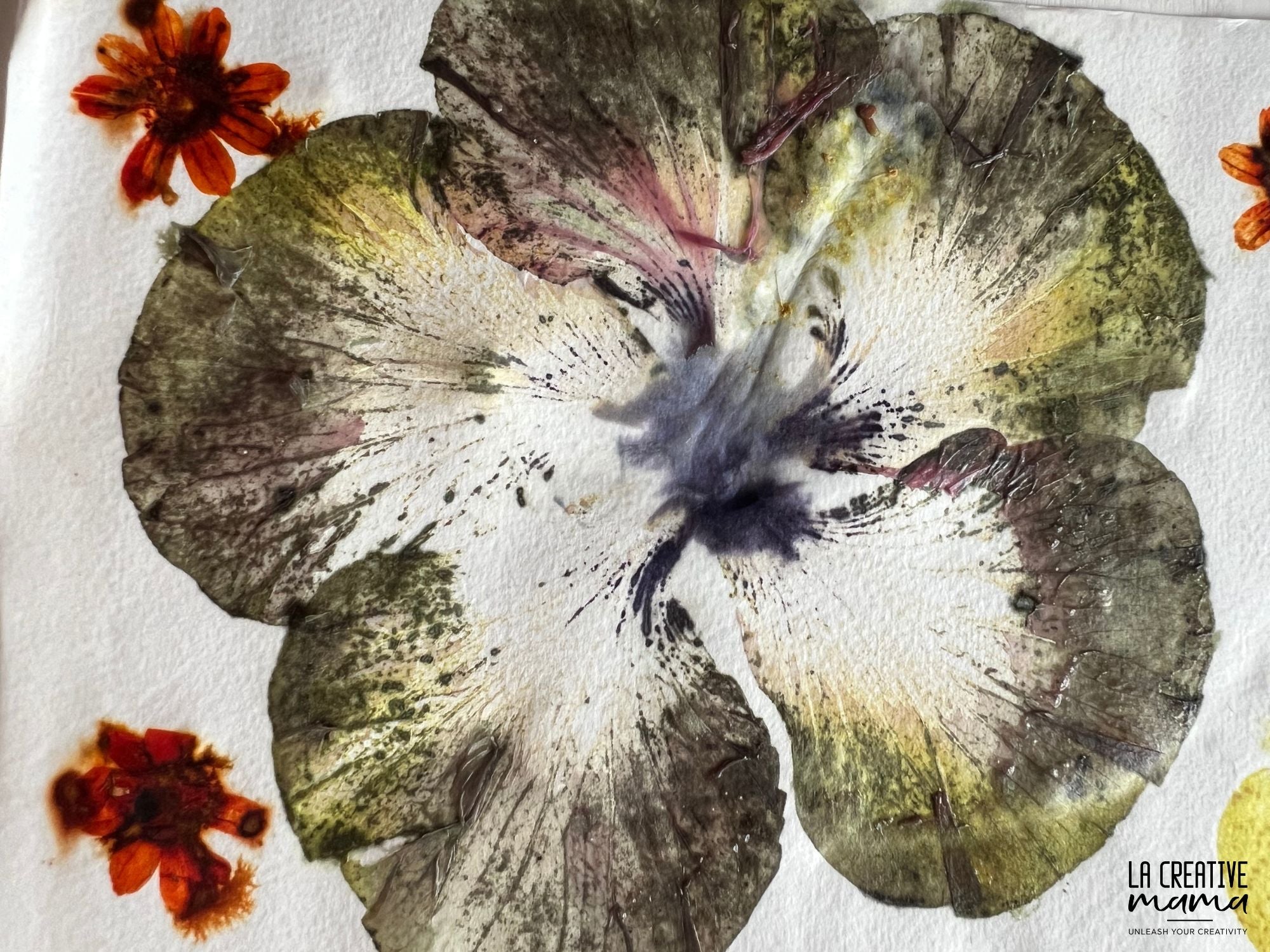 Eco Printing ON PAPER Course