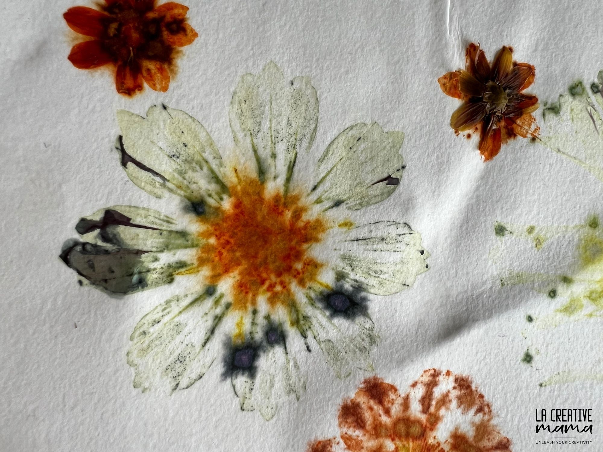 Eco Printing ON PAPER Course