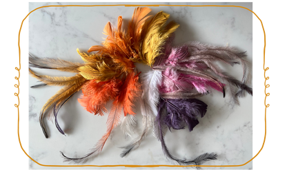Natural Dyeing on FEATHERS Course
